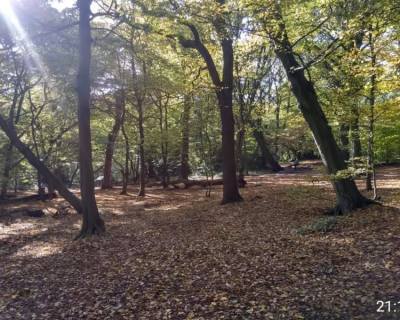 spending-time-ouside-in-the-woods